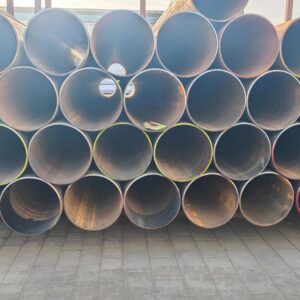 MVIMG_20260129_083206 MVIMG_20260129_083206